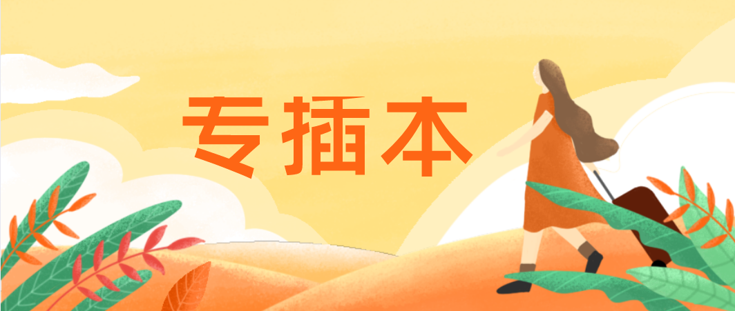 大专生怎样备考专插本才能上岸?
