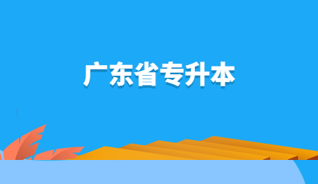 2022年广东省普通专升本退役士兵网上报名热点