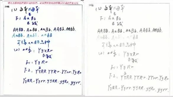 倒计时12天！广东省专插本容易丢分的几个环节！