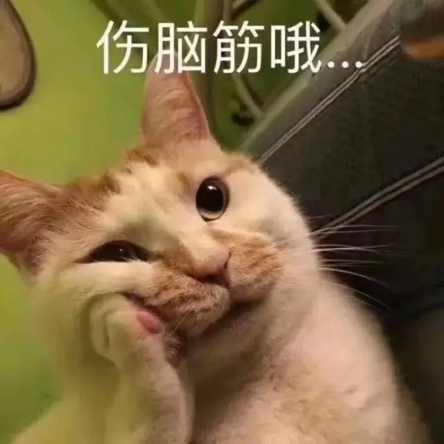 @插本考生！广东省专插本备考最重要的四个阶段，你又到哪一步了！