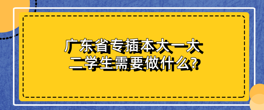 广东省专插本大一大二学生需要做什么?