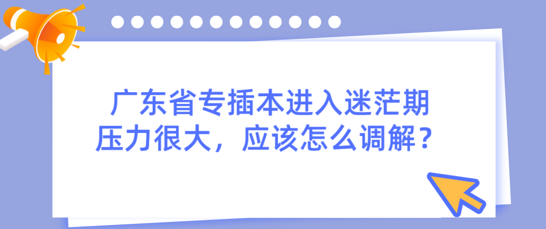 广东省专插本进入迷茫期压力很大，应该怎么调解？