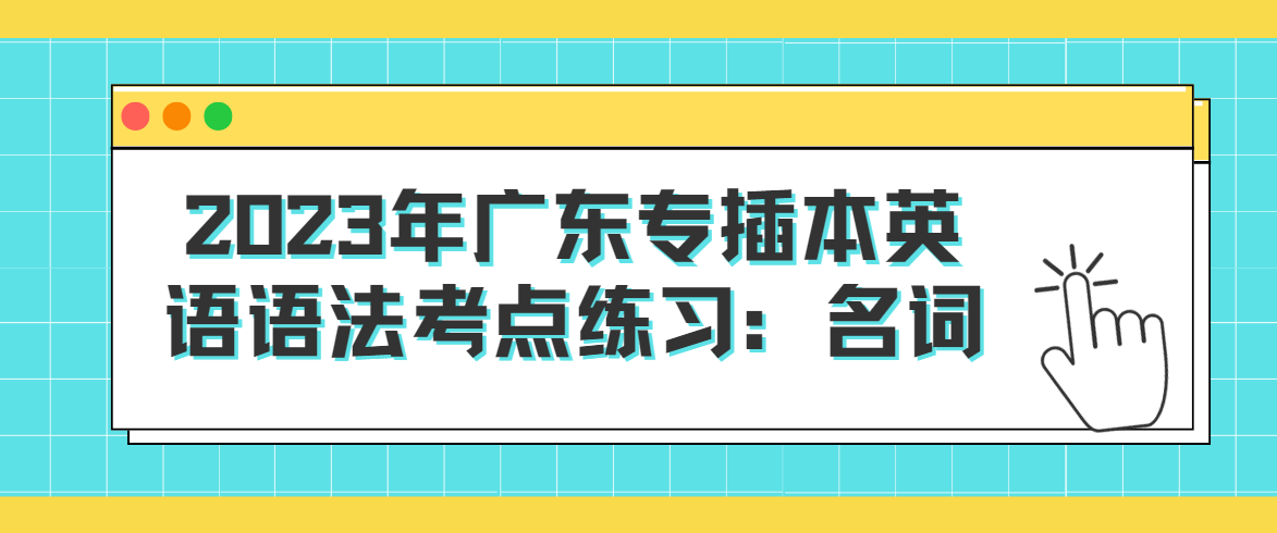 2023年广东专插本英语语法考点练习：名词